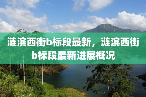 涟滨西街b标段最新，涟滨西街b标段最新进展概况