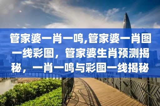 2025预计出生率，全球及中国出生率趋势预测：挑战与机遇并存，共同迎接美好未来