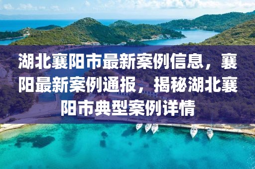 新肺炎最新通报国外情况深度分析，全球新冠肺炎最新国外情况深度解析报告