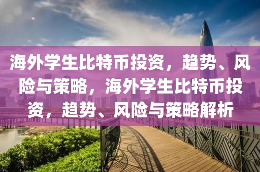 海外学生比特币投资，趋势、风险与策略，海外学生比特币投资，趋势、风险与策略解析