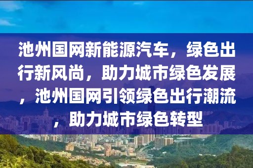 池州国网新能源汽车，绿色出行新风尚，助力城市绿色发展，池州国网引领绿色出行潮流，助力城市绿色转型