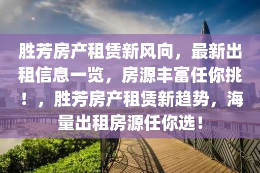 最新版office界面，最新Office界面介绍与体验：简洁设计、高效操作及个性化需求满足