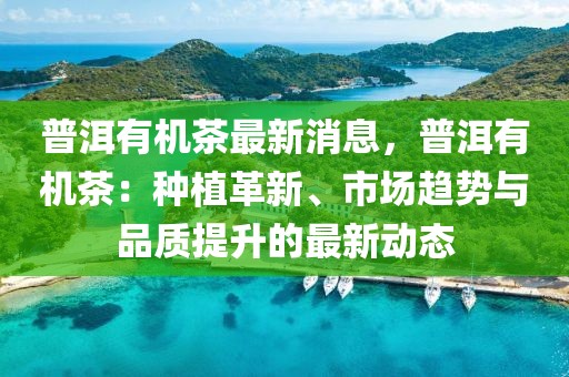 普洱有机茶最新消息，普洱有机茶：种植革新、市场趋势与品质提升的最新动态