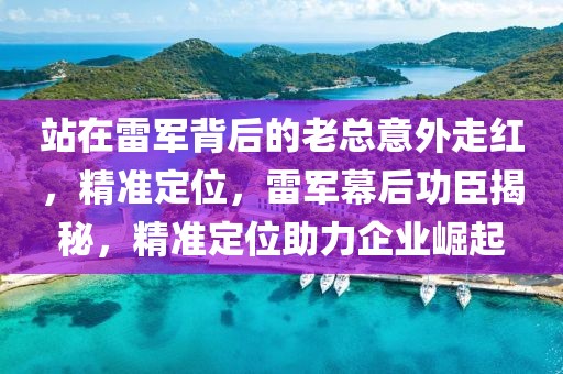 站在雷军背后的老总意外走红，精准定位，雷军幕后功臣揭秘，精准定位助力企业崛起