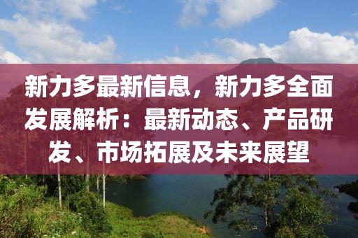 新力多最新信息，新力多全面发展解析：最新动态、产品研发、市场拓展及未来展望