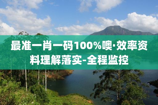 最准一肖一码100%噢·效率资料理解落实-全程监控