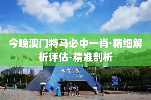 今晚澳门特马必中一肖·精细解析评估-精准剖析