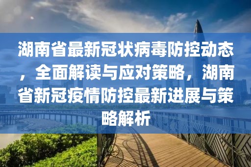 湖南省最新冠状病毒防控动态，全面解读与应对策略，湖南省新冠疫情防控最新进展与策略解析