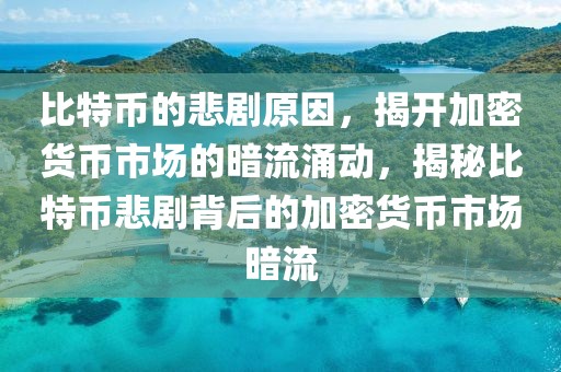 安哥拉华人网最新消息，安哥拉华人网最新消息概览：政治、经济、社会与文化动态