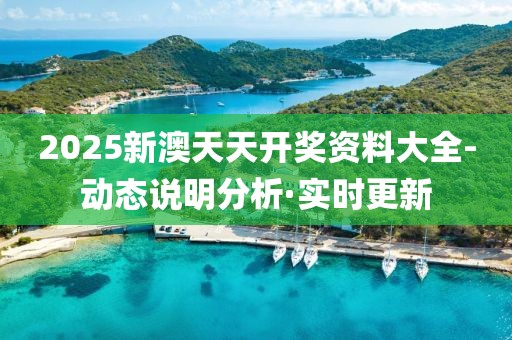 2025新澳天天开奖资料大全-动态说明分析·实时更新