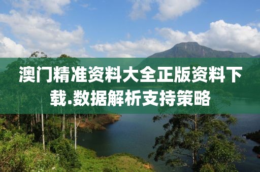 澳门精准资料大全正版资料下载.数据解析支持策略