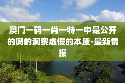 澳门一码一肖一特一中是公开的吗的洞察虚假的本质-最新情报