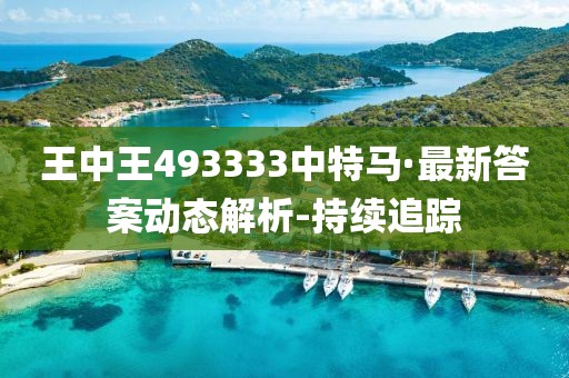 王中王493333中特马·最新答案动态解析-持续追踪