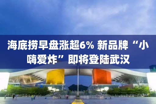 海底捞早盘涨超6% 新品牌“小嗨爱炸”即将登陆武汉