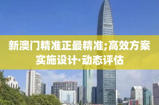 新澳门精准正最精准;高效方案实施设计·动态评估