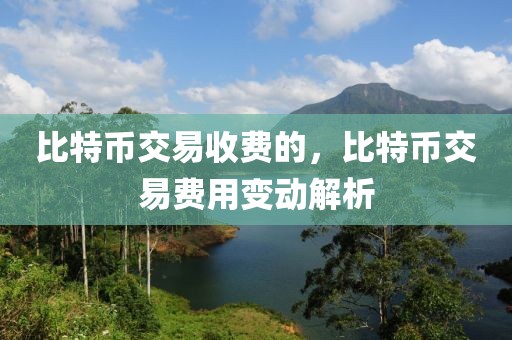 新华词典2021最新版，新华词典2021最新版：全面解读、特色内容及应用指南