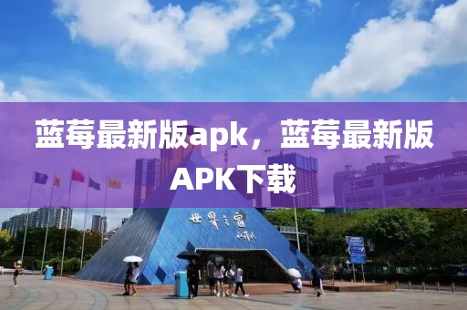 蓝莓最新版apk，蓝莓最新版APK下载