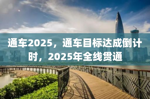 生肖兔2025年开运，生肖兔2025年运势解析与开运指南