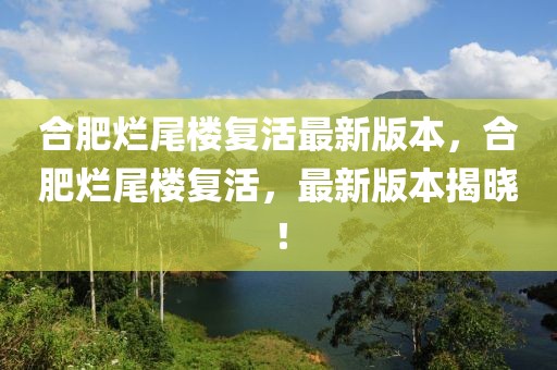 安康洪巷最新消息新闻，安康洪巷地区发展概览：最新动态与未来展望