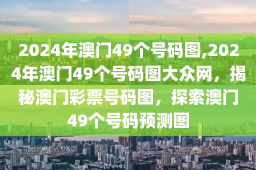 新手蜘蛛排行榜最新，探索未知领域的指南者，新手蜘蛛排行榜最新，未知领域的探索指南