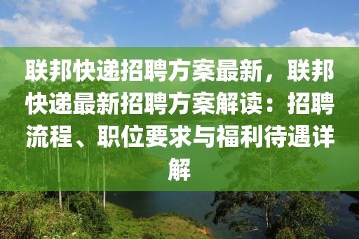 联邦快递招聘方案最新，联邦快递最新招聘方案解读：招聘流程、职位要求与福利待遇详解