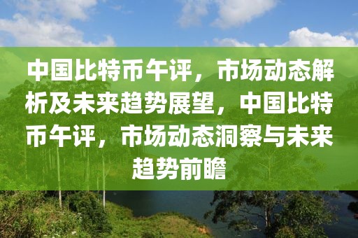 中国比特币午评，市场动态解析及未来趋势展望，中国比特币午评，市场动态洞察与未来趋势前瞻