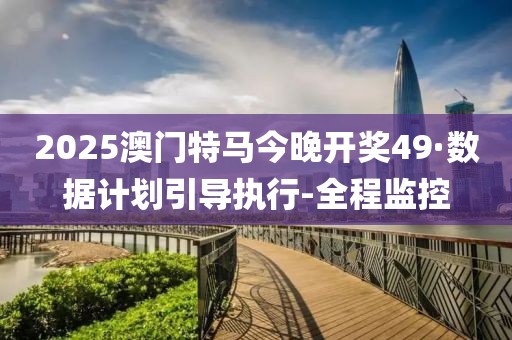 2025澳门特马今晚开奖49·数据计划引导执行-全程监控