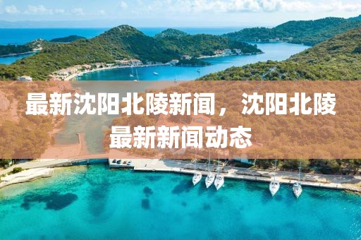 最新沈阳北陵新闻，沈阳北陵最新新闻动态