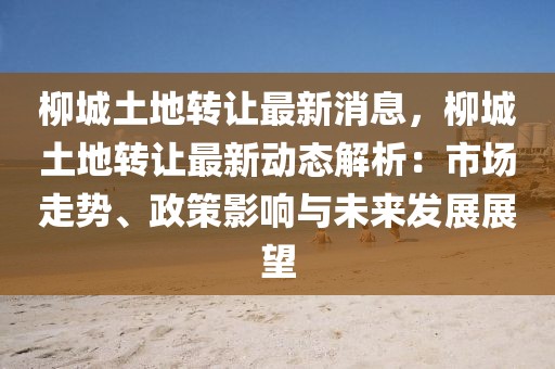 柳城土地转让最新消息，柳城土地转让最新动态解析：市场走势、政策影响与未来发展展望