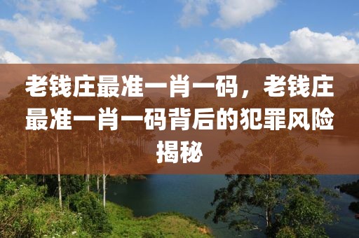 蒋教练最新信息，探索其在体育领域的卓越成就与未来发展，蒋教练在体育领域的辉煌成就与未来展望