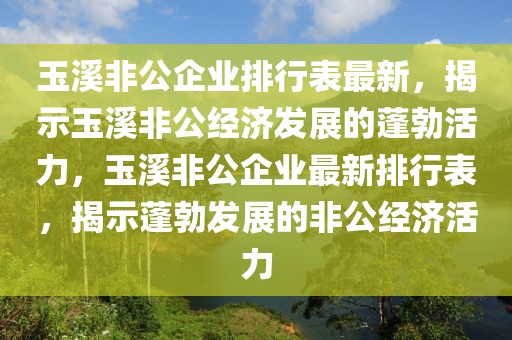 玉溪非公企业排行表最新，揭示玉溪非公经济发展的蓬勃活力，玉溪非公企业最新排行表，揭示蓬勃发展的非公经济活力