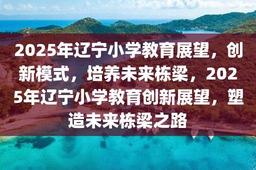 2025年辽宁小学教育展望，创新模式，培养未来栋梁，2025年辽宁小学教育创新展望，塑造未来栋梁之路