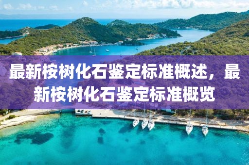 旅顺央视新闻最新，旅顺最新央视新闻报道概览：经济繁荣、社会进步、环保行动与文化遗产闪耀新时代