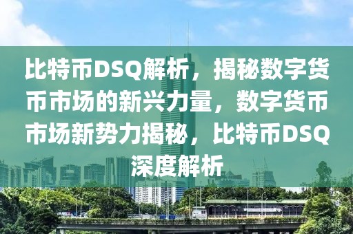 比特币DSQ解析，揭秘数字货币市场的新兴力量，数字货币市场新势力揭秘，比特币DSQ深度解析