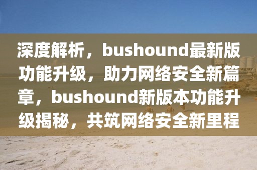 深度解析，bushound最新版功能升级，助力网络安全新篇章，bushound新版本功能升级揭秘，共筑网络安全新里程