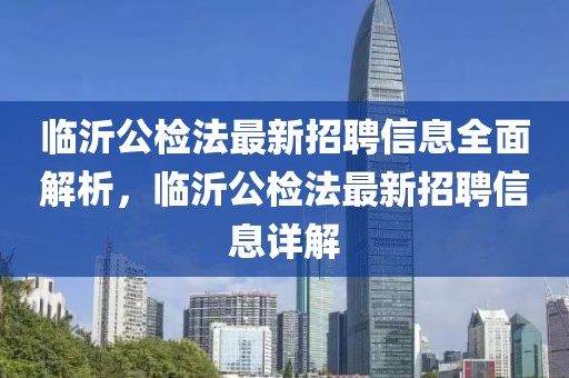 中期贷款最新信息，2024年中期贷款市场最新动态解析