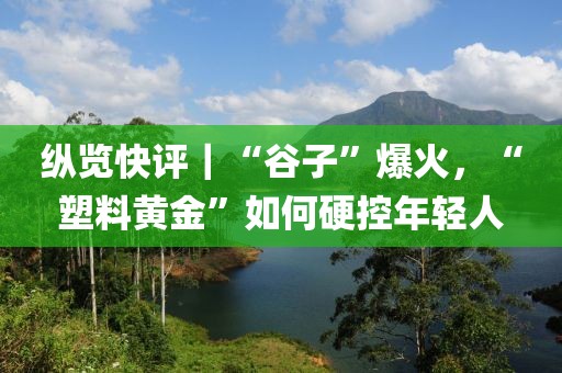 纵览快评｜“谷子”爆火，“塑料黄金”如何硬控年轻人