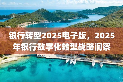 银行转型2025电子版，2025年银行数字化转型战略洞察