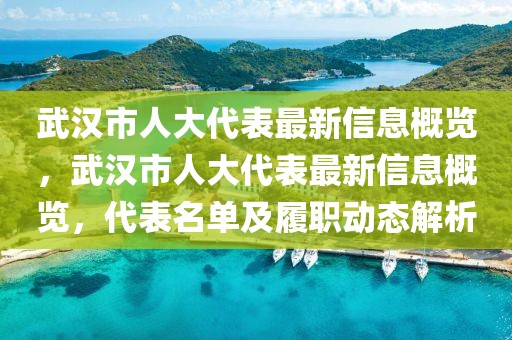 武汉市人大代表最新信息概览，武汉市人大代表最新信息概览，代表名单及履职动态解析