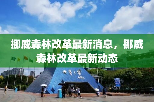 2025年最新款十二岁回礼，潮流与创意的完美结合，2025潮流先锋，十二岁生日回礼创意集结盛典