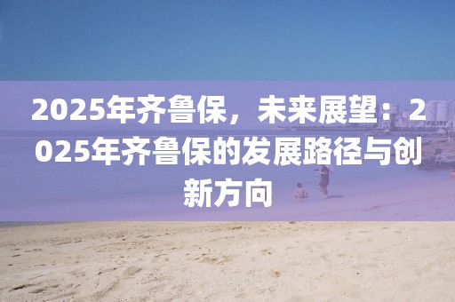 2025年齐鲁保，未来展望：2025年齐鲁保的发展路径与创新方向