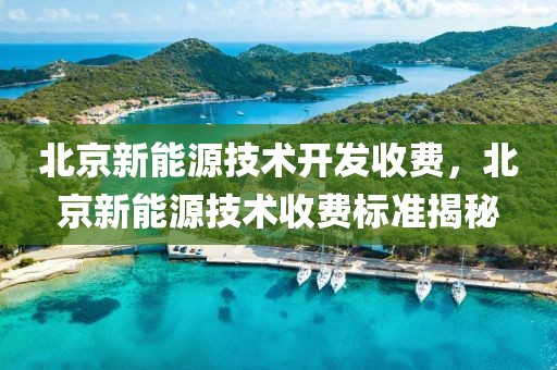 北京新能源技术开发收费，北京新能源技术收费标准揭秘