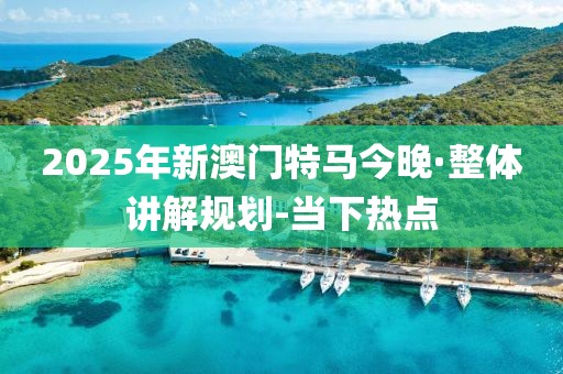 2025年新澳门特马今晚·整体讲解规划-当下热点