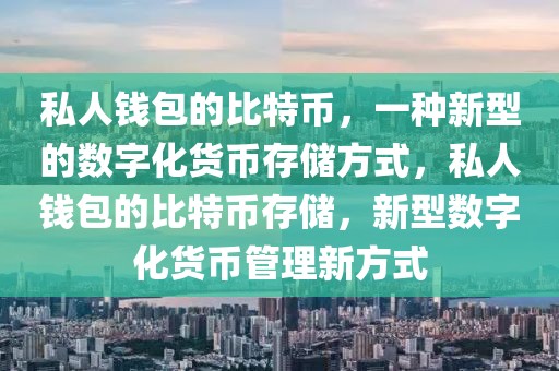 私人钱包的比特币，一种新型的数字化货币存储方式，私人钱包的比特币存储，新型数字化货币管理新方式