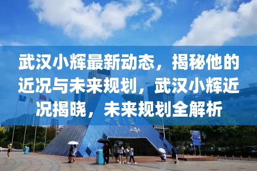 武汉小辉最新动态，揭秘他的近况与未来规划，武汉小辉近况揭晓，未来规划全解析