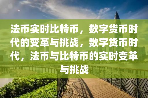 法币实时比特币，数字货币时代的变革与挑战，数字货币时代，法币与比特币的实时变革与挑战