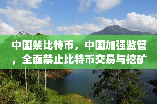 耒阳矿业招聘官网最新招聘，耒阳矿业招聘官网最新招聘信息详解：岗位、流程、注意事项全解析