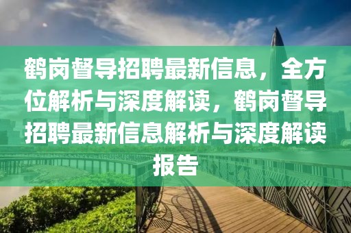 鹤岗督导招聘最新信息，全方位解析与深度解读，鹤岗督导招聘最新信息解析与深度解读报告