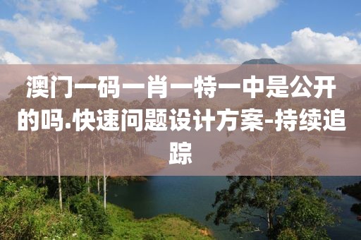 澳门一码一肖一特一中是公开的吗.快速问题设计方案-持续追踪