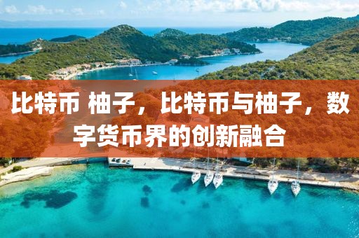 帝豪2025龙腾版钥匙套，帝豪2025龙腾版专属钥匙套赏析